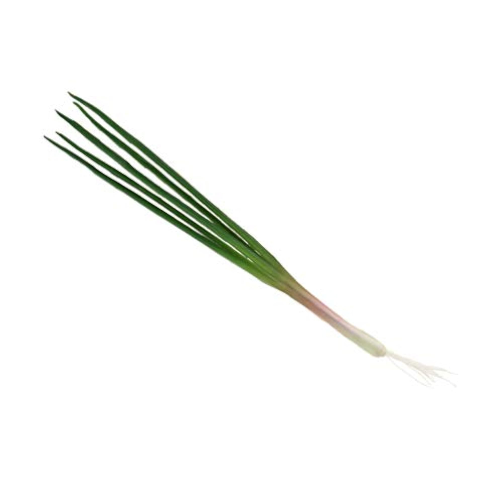 Artificial Vegetable Display Shallot for Kitchen Decor